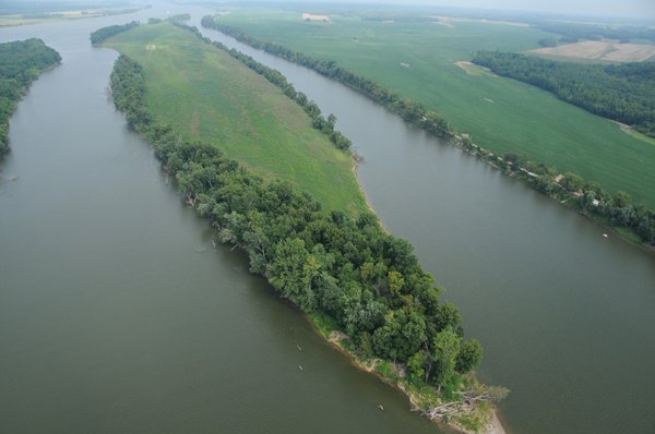1,288 Acre Land Auction in 19 Tracts. 903 Tillable Acres and Mature Timber
