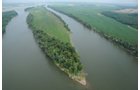 Property photo 15 - 1,288 Acre Land Auction in 19 Tracts. 903 Tillable Acres and Mature Timber