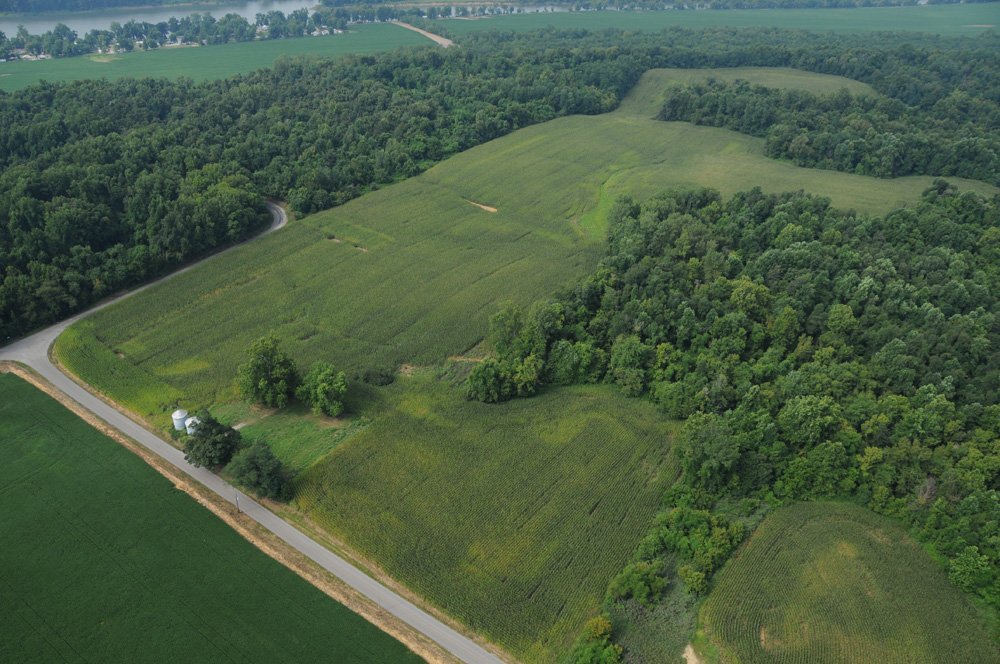 Property photo 49 - 1,288 Acre Land Auction in 19 Tracts. 903 Tillable Acres and Mature Timber