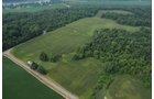 Property photo 49 - 1,288 Acre Land Auction in 19 Tracts. 903 Tillable Acres and Mature Timber
