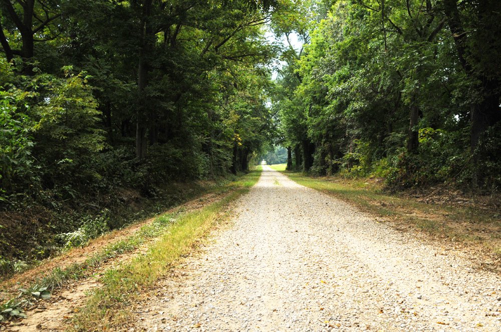 Property photo 34 - 1,288 Acre Land Auction in 19 Tracts. 903 Tillable Acres and Mature Timber