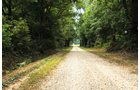 Property photo 34 - 1,288 Acre Land Auction in 19 Tracts. 903 Tillable Acres and Mature Timber