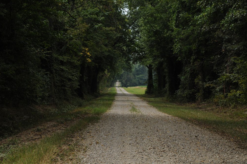 Property photo 28 - 1,288 Acre Land Auction in 19 Tracts. 903 Tillable Acres and Mature Timber