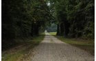 Property photo 28 - 1,288 Acre Land Auction in 19 Tracts. 903 Tillable Acres and Mature Timber