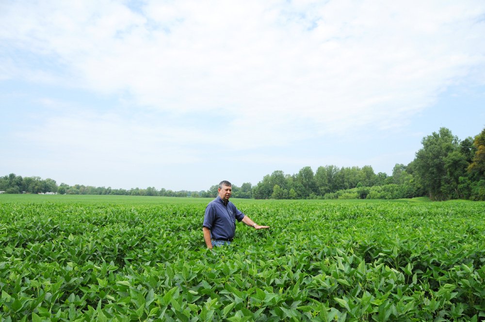 Property photo 6 - 1,288 Acre Land Auction in 19 Tracts. 903 Tillable Acres and Mature Timber