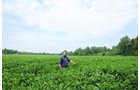 Property photo 6 - 1,288 Acre Land Auction in 19 Tracts. 903 Tillable Acres and Mature Timber