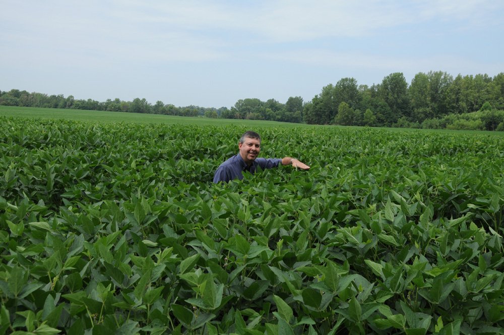 Property photo 12 - 1,288 Acre Land Auction in 19 Tracts. 903 Tillable Acres and Mature Timber