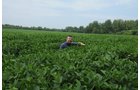 Property photo 12 - 1,288 Acre Land Auction in 19 Tracts. 903 Tillable Acres and Mature Timber