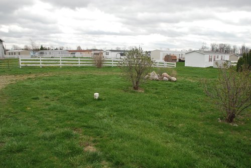 Property photo 5 - ONLINE ONLY ABSOLUTE AUCTION - Business & Commercial Potential - 1.4+/- Acres