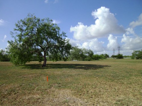 Property photo 20 - Bank Owned Real Estate Auction - McAllen