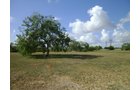 Property photo 20 - Bank Owned Real Estate Auction - McAllen