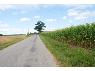 Property photo 42 - 178+/- Acres Offered in 5 Tracts