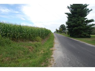 Property photo 34 - 178+/- Acres Offered in 5 Tracts