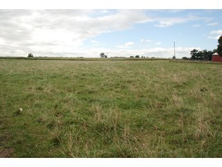 Property photo 29 - 178+/- Acres Offered in 5 Tracts