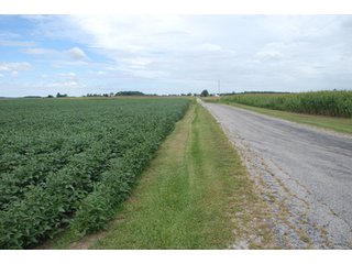Property photo 30 - 178+/- Acres Offered in 5 Tracts