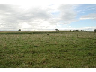 Property photo 27 - 178+/- Acres Offered in 5 Tracts