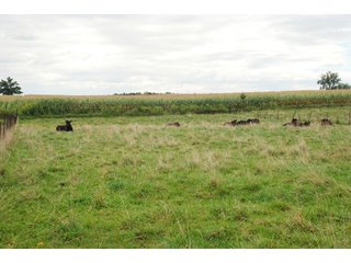 Property photo 17 - 178+/- Acres Offered in 5 Tracts