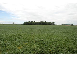 Property photo 6 - 178+/- Acres Offered in 5 Tracts