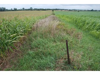 Property photo 7 - 178+/- Acres Offered in 5 Tracts