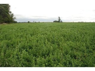 Property photo 1 - 178+/- Acres Offered in 5 Tracts