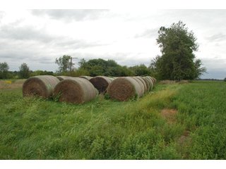 Property photo 25 - 178+/- Acres Offered in 5 Tracts