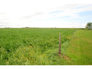 Property photo 41 - 178+/- Acres Offered in 5 Tracts