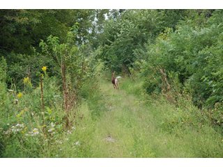 Property photo 37 - 178+/- Acres Offered in 5 Tracts
