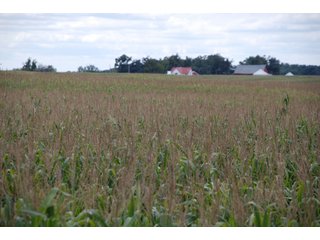 Property photo 48 - 178+/- Acres Offered in 5 Tracts
