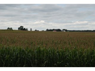 Property photo 18 - 178+/- Acres Offered in 5 Tracts