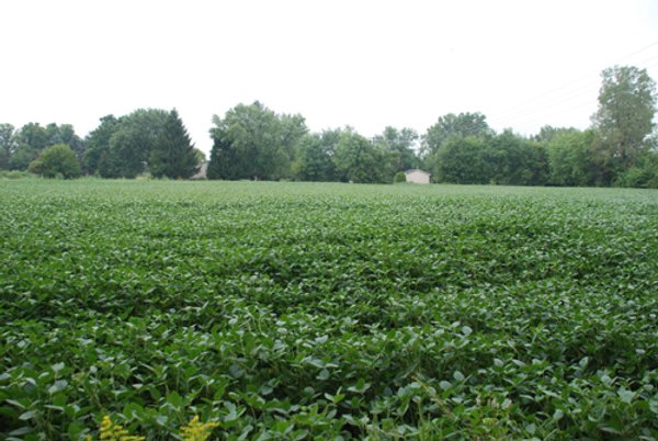 703+/- Acres in 5 Tracts \ 615+/- Acres Timber and Hunting Land in Michigan's U.P.