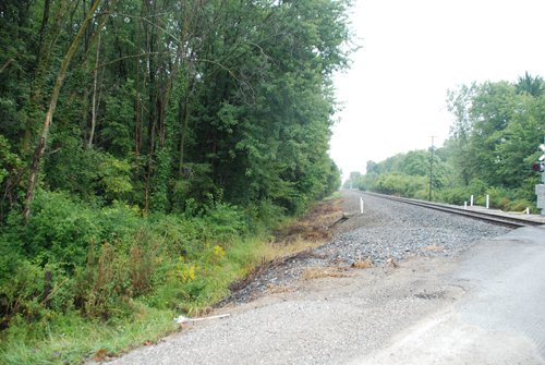 Tract 4 - 703+/- Acres in 5 Tracts \ 615+/- Acres Timber and Hunting Land in Michigan's U.P.