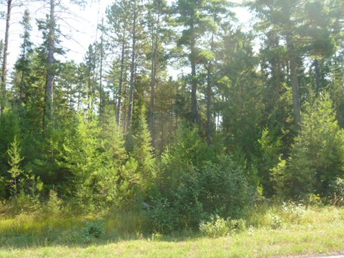 Tract 5 - 703+/- Acres in 5 Tracts \ 615+/- Acres Timber and Hunting Land in Michigan's U.P.