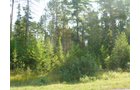 Tract 5 - 703+/- Acres in 5 Tracts \ 615+/- Acres Timber and Hunting Land in Michigan's U.P.