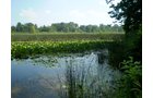 Property photo 3 - 85.6 Acres Offered in 2 Tracts