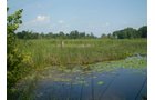 Property photo 6 - 85.6 Acres Offered in 2 Tracts