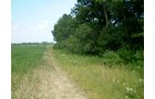 Property photo 5 - 85.6 Acres Offered in 2 Tracts