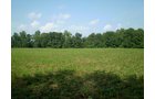 Property photo 8 - 85.6 Acres Offered in 2 Tracts