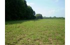 Property photo 7 - 85.6 Acres Offered in 2 Tracts