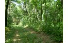 Property photo 4 - 85.6 Acres Offered in 2 Tracts