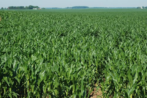 Property photo 11 - 426 Acres Offered in 11 Tracts Ranging from 4+/- to 80+/- Acres