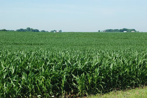 Property photo 15 - 426 Acres Offered in 11 Tracts Ranging from 4+/- to 80+/- Acres