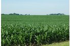 Property photo 15 - 426 Acres Offered in 11 Tracts Ranging from 4+/- to 80+/- Acres