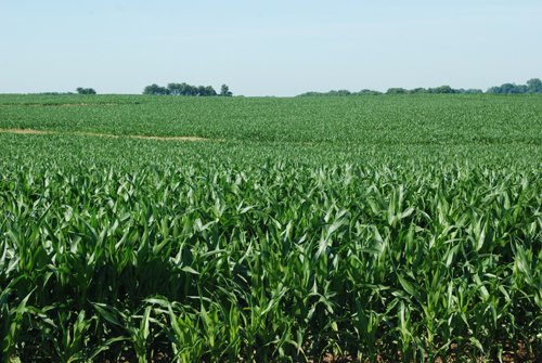 Property photo 19 - 426 Acres Offered in 11 Tracts Ranging from 4+/- to 80+/- Acres