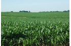 Property photo 19 - 426 Acres Offered in 11 Tracts Ranging from 4+/- to 80+/- Acres