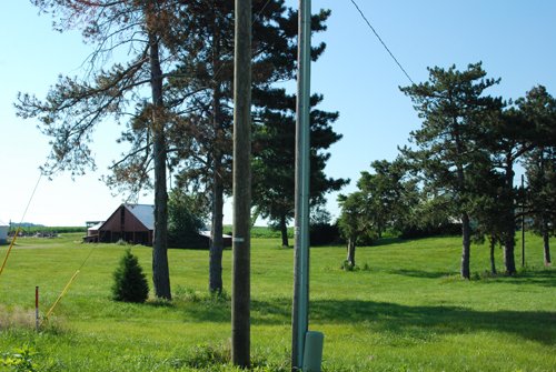 Property photo 28 - 426 Acres Offered in 11 Tracts Ranging from 4+/- to 80+/- Acres