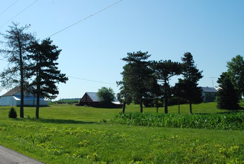 Property photo 16 - 426 Acres Offered in 11 Tracts Ranging from 4+/- to 80+/- Acres