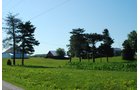 Property photo 16 - 426 Acres Offered in 11 Tracts Ranging from 4+/- to 80+/- Acres