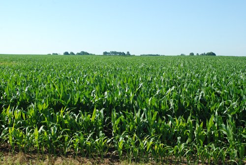 Property photo 3 - 426 Acres Offered in 11 Tracts Ranging from 4+/- to 80+/- Acres
