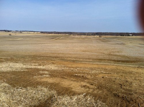 Property photo 12 - 426 Acres Offered in 11 Tracts Ranging from 4+/- to 80+/- Acres