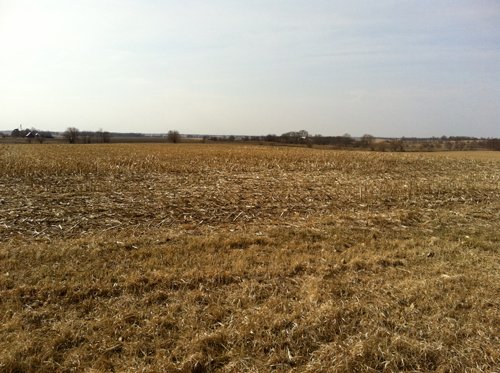 Property photo 30 - 426 Acres Offered in 11 Tracts Ranging from 4+/- to 80+/- Acres